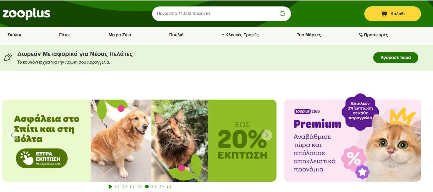 Γκόλντεν Ριτρίβερ και μια τρίχρωμη γάτα