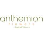 Anthemion Flowers Προσφορά έως και -20% σε λουλούδια κι κουτιά δώρων στο Anthemionflowers.com