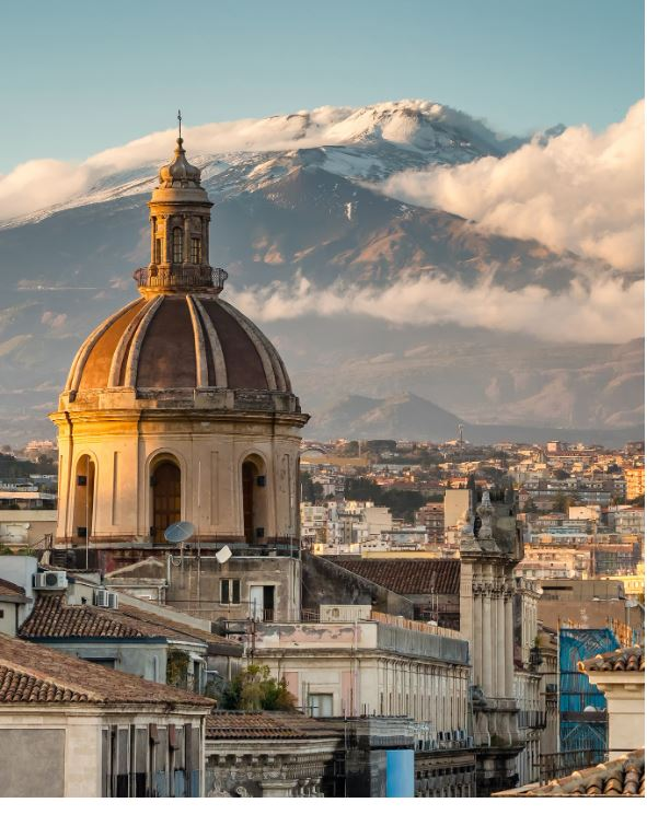 Kiwi Sicily